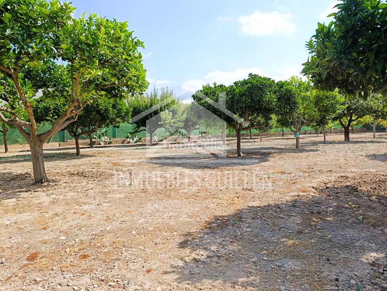 Foto dc9a80fb-2812-4887-aaf6-1d15cda23561. Casa amb xemeneia piscina a Berja