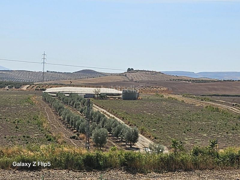 Foto 2a7f9c56-e3d3-4e91-99a1-1b080fcda246. Finca rústica a Ventas de Huelma