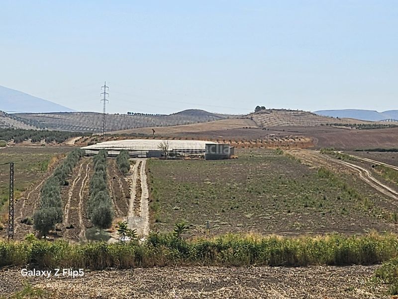 Foto 9a2a9964-af90-471c-a43a-b84d5a951e3a. Finca rústica a Ventas de Huelma