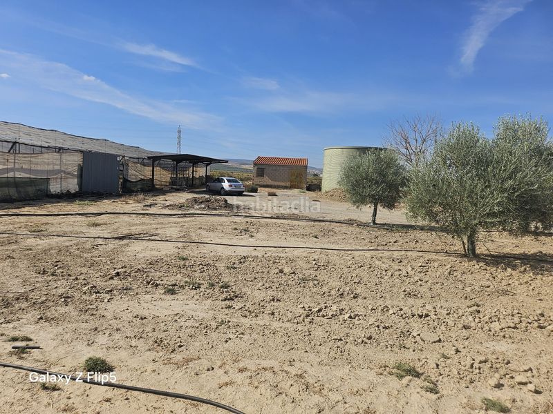 Foto fae1a20c-631d-46bf-92e1-e12046463bd0. Finca rústica a Ventas de Huelma