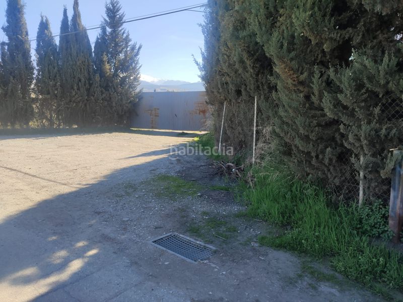 Foto 9235dd86-e4a3-435f-8d47-342c7f8beec4. Finca rústica a La Zubia Ciudad Zubia (La)