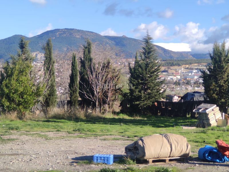Foto e3c0f68b-ad23-4993-ab6d-8e711eb5a131. Finca rústica a La Zubia Ciudad Zubia (La)
