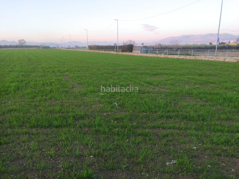 Foto 31522db4-363c-4e18-8ab3-81ecfa936bd8. Finca rústica a Las Flores - Huerta Gabias (Las)