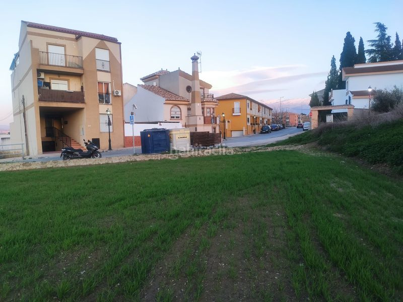 Foto 5dfb7fb0-a92d-4d8f-9654-02229f9f78e1. Finca rústica a Las Flores - Huerta Gabias (Las)