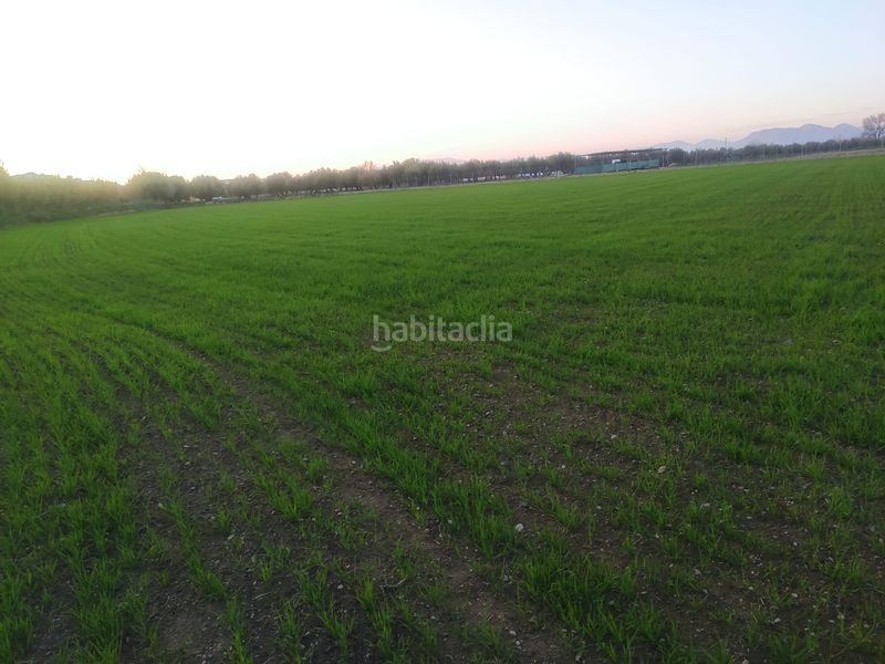 Foto 9e52d931-a91a-42d7-b71c-ed8bcd8a87f6. Finca rústica a Las Flores - Huerta Gabias (Las)