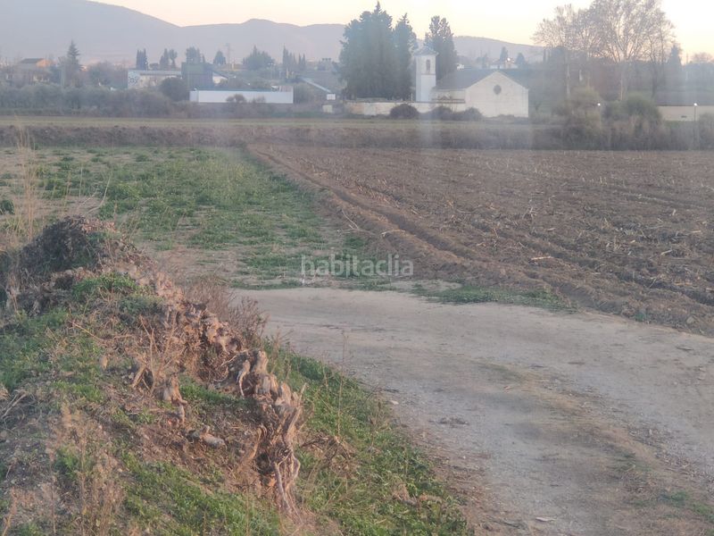 Foto 52e881dc-465a-4d63-b7d2-d04e80f63d3e. Finca rústica a Las Flores - Huerta Gabias (Las)