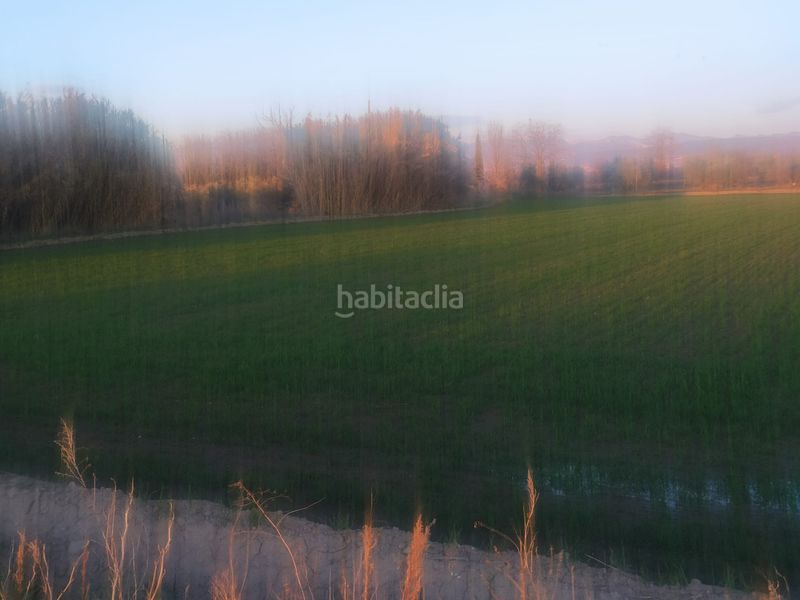 Foto 966965f6-338d-4e1c-a32d-f215cd8f0e26. Finca rústica a Las Flores - Huerta Gabias (Las)