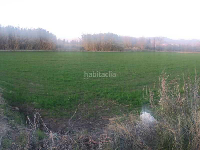 Foto bbeef40f-0924-4c31-8cfd-902d8933a26d. Finca rústica a Las Flores - Huerta Gabias (Las)