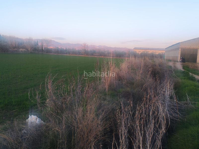 Foto cc0eae4e-d834-439e-9a1f-3e63d633e175. Finca rústica a Las Flores - Huerta Gabias (Las)