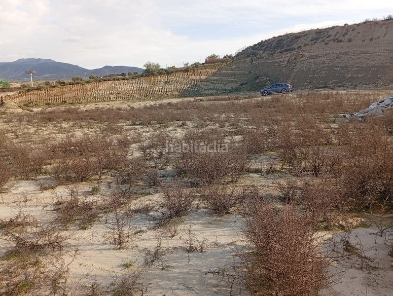 Foto 0cd61194-bd5d-4b91-b914-b99d73e5a1c1. Finca rústica a Urbanizaciones Alhendín