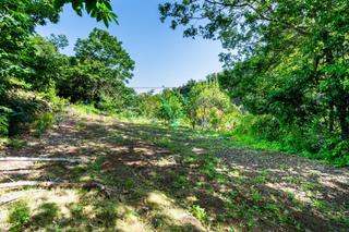 Finca rústica en El Bebedero - Pinolere - Aguamansa. Terreno rústico en venta