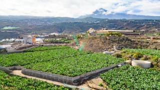 Finca rústica a Guancha (La). Finca con estanque de 5.503m2 en zona de costa