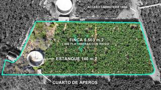 Finca rústica a Guancha (La). Finca con estanque de 5.503m2 en zona de costa