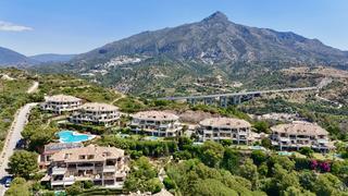 Planta baixa a Aloha