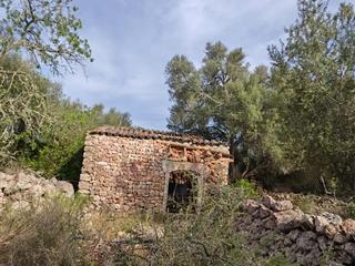 Terreno residencial  Son bernat. Costitxterreno