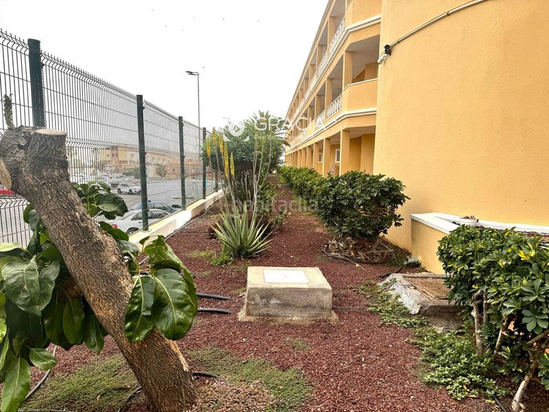 Foto 73191fbb-393a-479a-82c2-248f1d183cff. Pis amb aparcament piscina a Playa de Fañabé Adeje