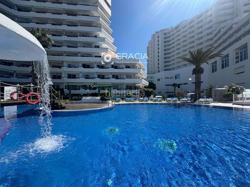 Foto e839dc26-5aab-4a33-a72d-6bdb9c2946e5. Estudi amb aparcament piscina a San Eugenio Bajo Adeje