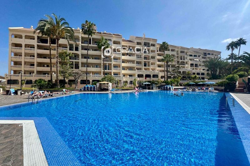 Foto 29122285-91bd-411b-b3a5-671d0183e665. Estudi amb aparcament piscina a Los Cristianos Arona