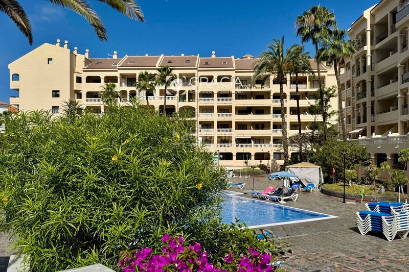 Foto ac1b6bd7-9449-4b9e-bb77-6cc9c79df938. Estudi amb aparcament piscina a Los Cristianos Arona