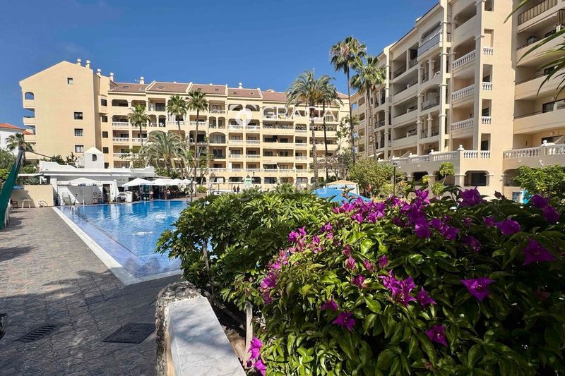 Foto ad0d2405-0ad7-46cf-8d29-56b9aef1c00e. Estudi amb aparcament piscina a Los Cristianos Arona