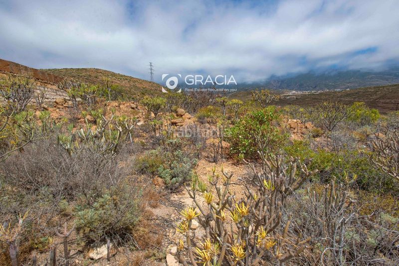 Foto 19b02fb9-1a82-4807-96a7-b04ee2680b69. Finca rústica a Arico