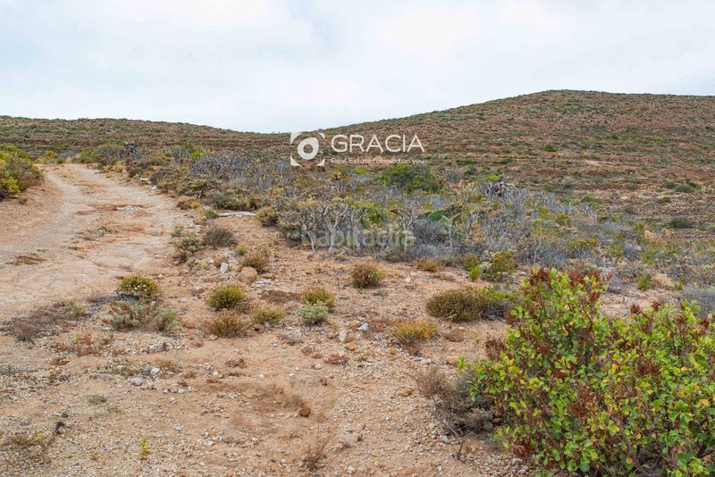 Foto 44a2d64f-4bef-4c9a-841d-8656c9266e4c. Finca rústica a Arico