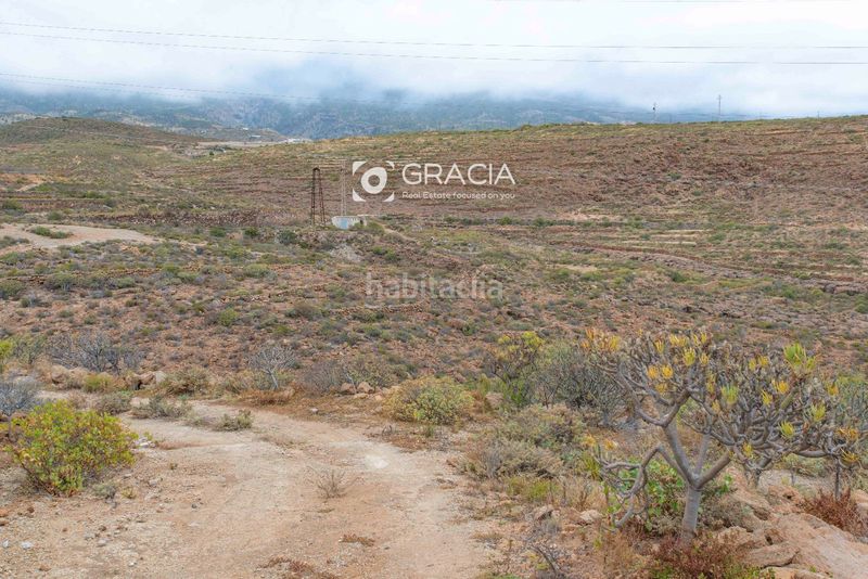 Foto 8e982186-f40e-47bc-9b0d-ae0b2170b8e2. Finca rústica a Arico