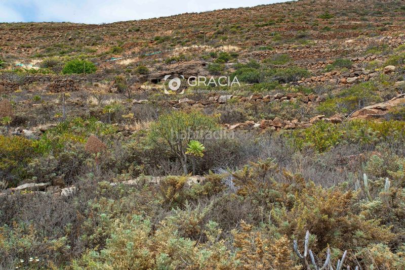 Foto f04d49d8-e434-4f07-b0f0-7ea5ef9d9189. Finca rústica a Arico