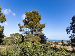 Landgut in Cabrils. Parcela de 2.013 m en venta en cabrils, barcelona