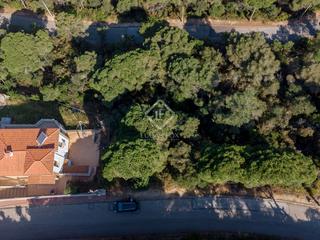 Finca rústica a Serra Brava. Parcela en excelentes condiciones en venta en lloret de mar