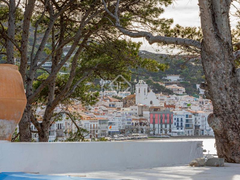 Foto 40ab1daa-2f39-4ee4-94fd-cb91b9756827. Xalet amb calefacció aparcament piscina a Port de la Selva (El)