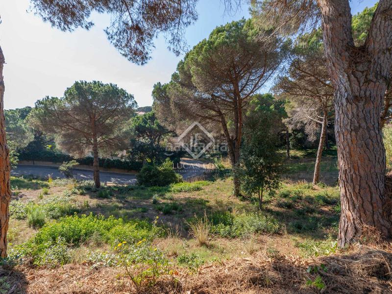 Foto 82ee1a81-b606-46a5-8b54-20cbe995c1dc. Rural plot in Montgoda Lloret de Mar