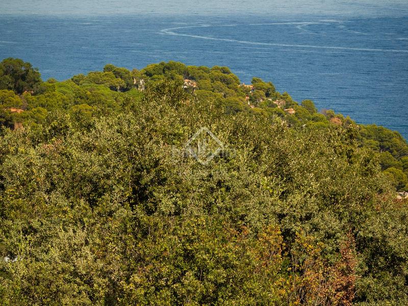 Foto 2ee957d8-c229-479d-97b3-ed08b5b494bf. Chalet exclusiva villa de 10 dormitorios con estupendas vistas al mar, en venta en sa riera en Begur