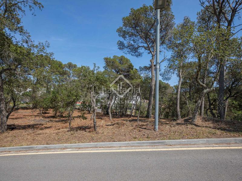 Foto a665f02c-1eb8-4d26-8f19-94185d6cbc4a. Fondo rustico in Llafranc