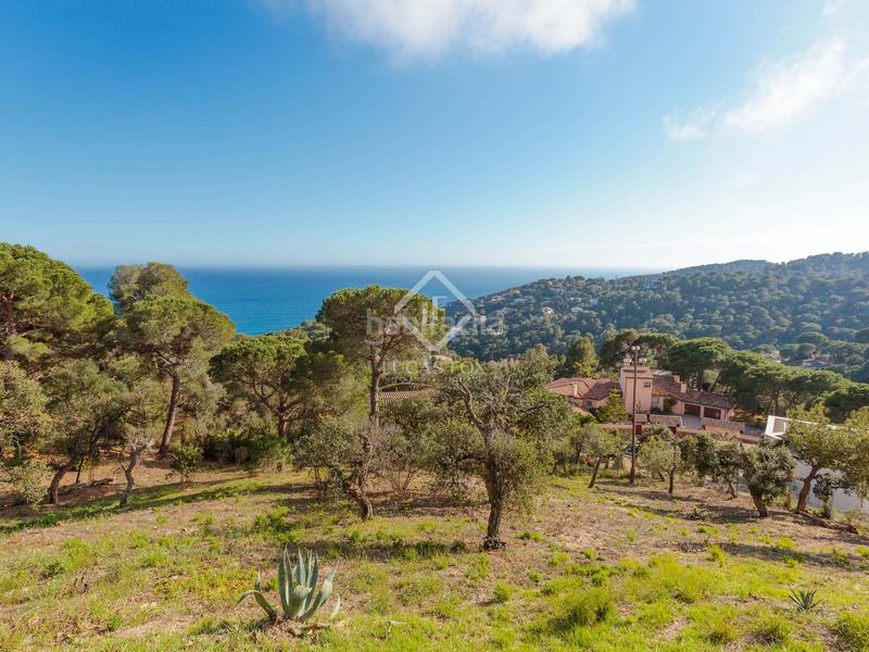 Foto 292bd731-674c-4497-ac94-d7d7ada5c235. Propriété dans Santa Maria de Llorell Tossa de Mar