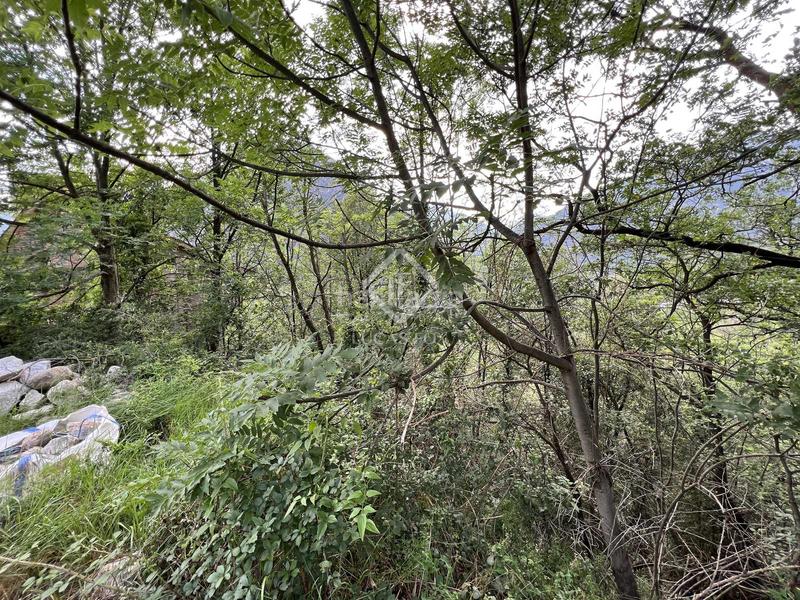 Foto aadaf4d8-937e-4279-b495-31312e1f9e5a. Propriété dans Nagol - Certers - Llumeneres Sant Julià de Lòria