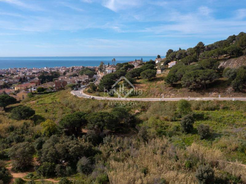 Foto 15df4f00-a19b-4f38-8969-4e1cdee76f67. Finca rústica a Premià de Dalt