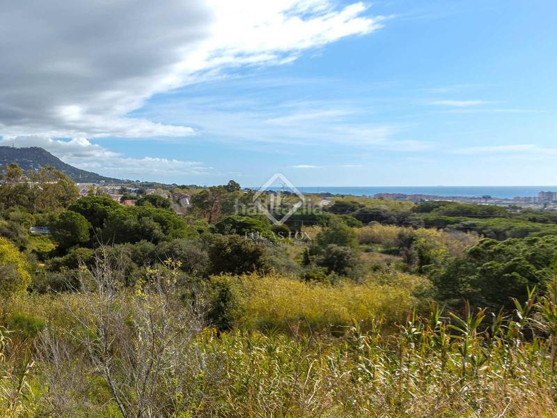 Foto 25d1457e-3242-4050-a3e9-fd6658071514. Finca rústica a Premià de Dalt