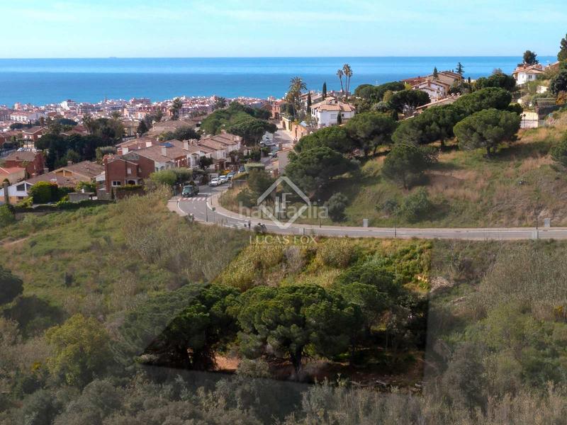 Foto 42e3413d-bded-4406-8fb4-72cadec6211f. Finca rústica a Premià de Dalt