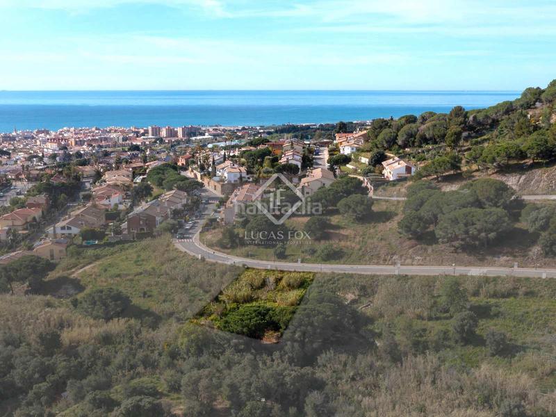 Foto 5c8a2dc3-3b5e-44dd-8689-952f0c96af07. Finca rústica a Premià de Dalt