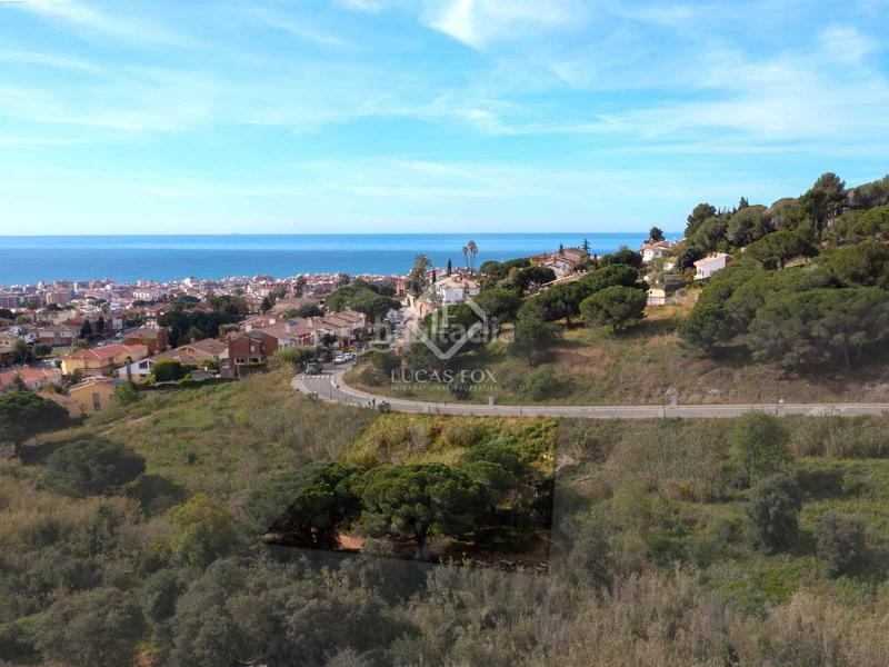 Foto a3e38751-a89e-479a-830f-6bb66616ee3c. Finca rústica a Premià de Dalt