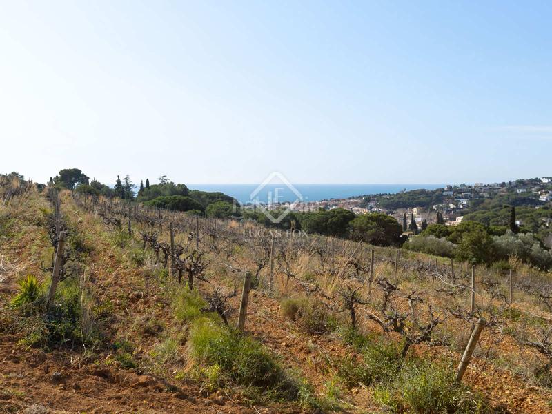 Foto 5f709b0f-b3e8-4978-9e22-5ebd8693a676. Masía casa histórica en excelentes condiciones de 8 dormitorios en venta , barcelona en Alella