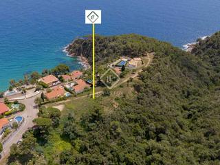 Finca rústica en Santa Maria de Llorell. Parcela en excelentes condiciones en venta en lloret de mar