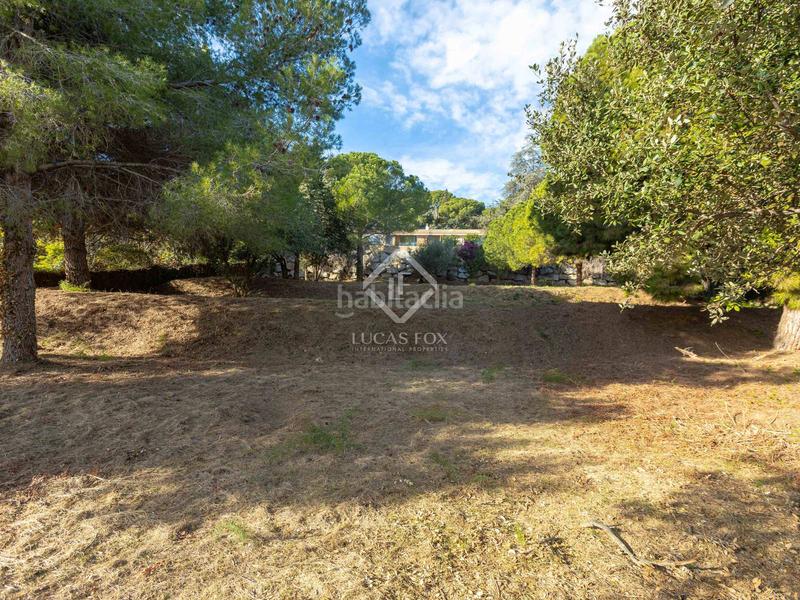 Foto 40bda147-13fd-4047-8dd1-e545ccd7da57. Finca rústica parcela edificable llana con fantásticas vistas al mar en venta en Cabrera de Mar