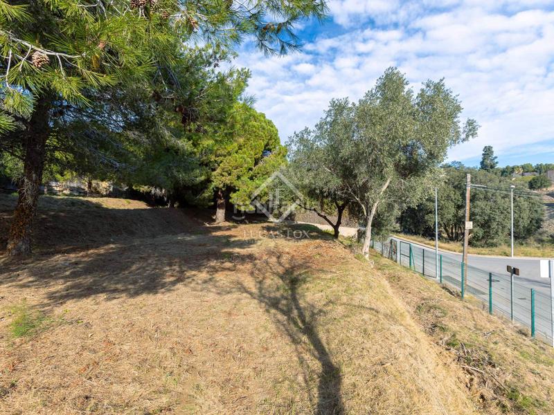 Foto 47e077e2-c46d-44fc-8483-02d1e802fa37. Finca rústica parcela edificable llana con fantásticas vistas al mar en venta en Cabrera de Mar