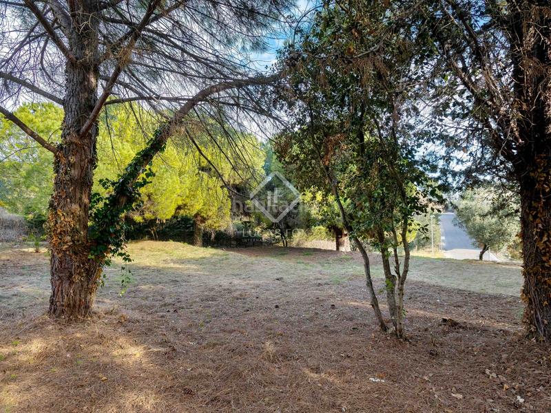 Foto 91546a2b-8b02-45d5-8d07-f53940a17ef8. Finca rústica parcela edificable llana con fantásticas vistas al mar en venta en Cabrera de Mar
