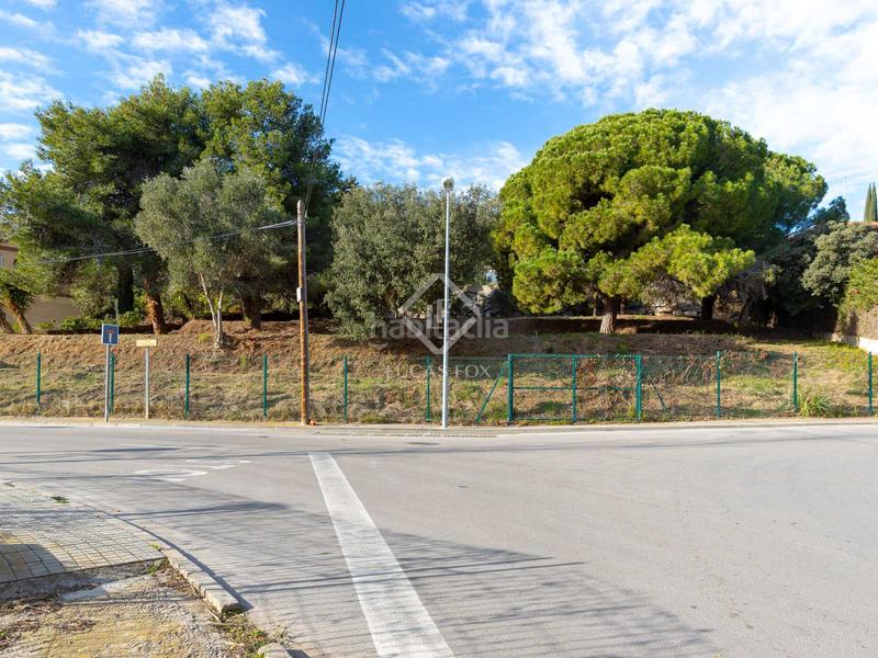 Foto a21c1e63-699f-4b4e-adcf-b195cedbad7f. Finca rústica parcela edificable llana con fantásticas vistas al mar en venta en Cabrera de Mar