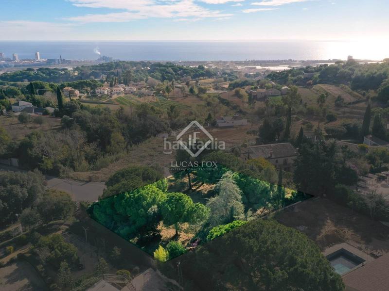 Foto eb7be201-abee-4a98-bc57-df53160e93ee. Finca rústica parcela edificable llana con fantásticas vistas al mar en venta en Cabrera de Mar