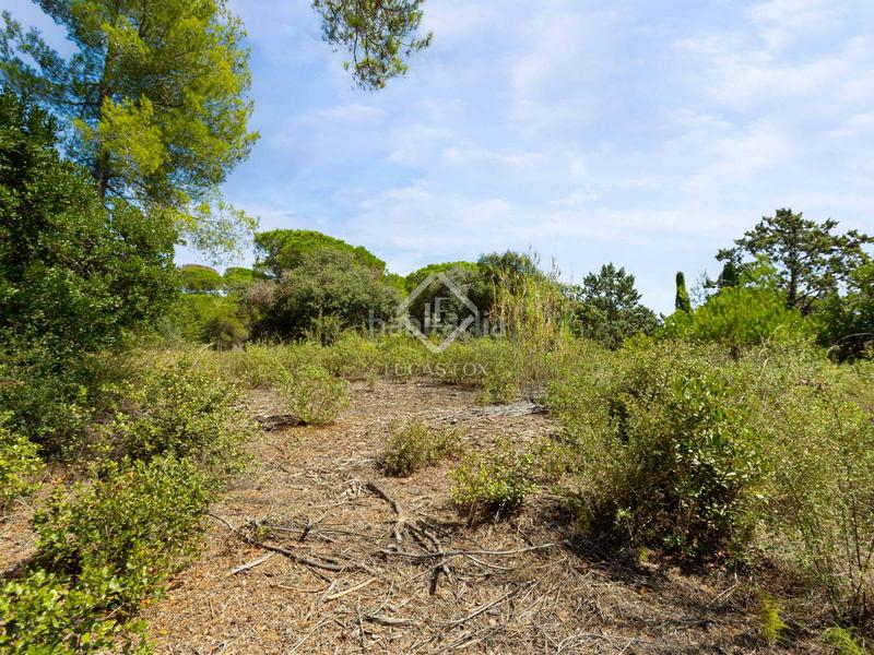 Foto 3cb48c75-6f0a-43ea-abba-087436876911. Fondo rustico in Rocaferrera Sant Andreu de Llavaneres