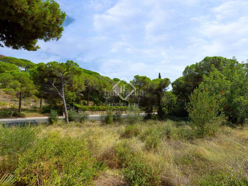 Foto 63bafc47-c330-471a-91fb-743604244f0a. Fondo rustico in Rocaferrera Sant Andreu de Llavaneres